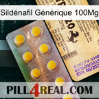Sildénafil Générique 100Mg new06